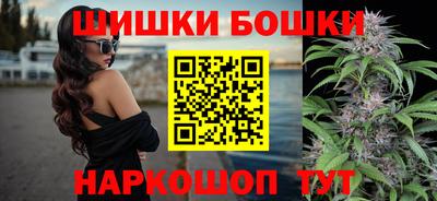 сатива Гай