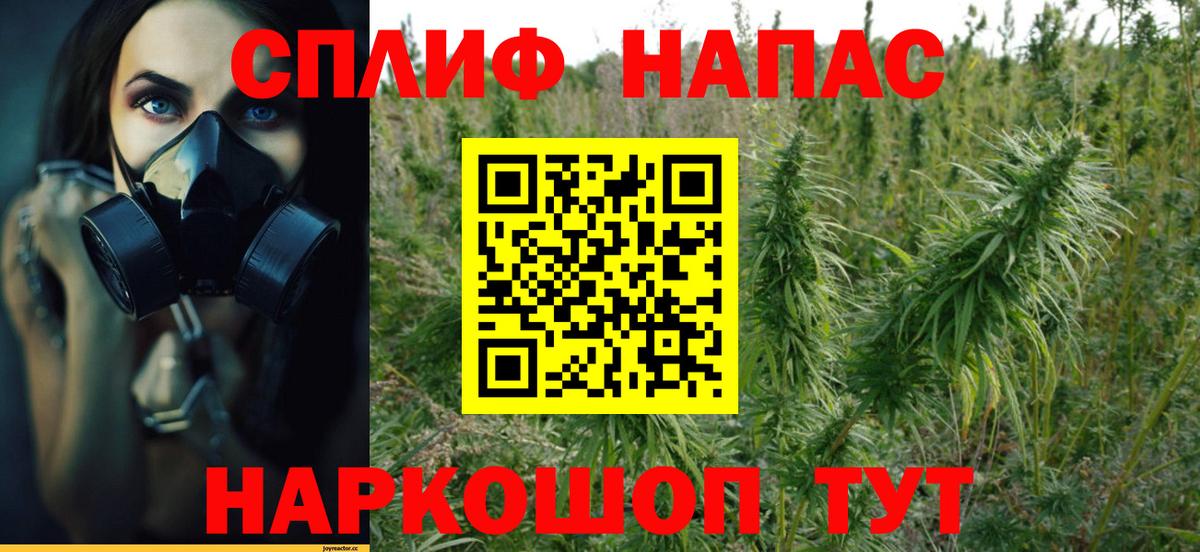 Канабис Bruce Banner Пыть-Ях